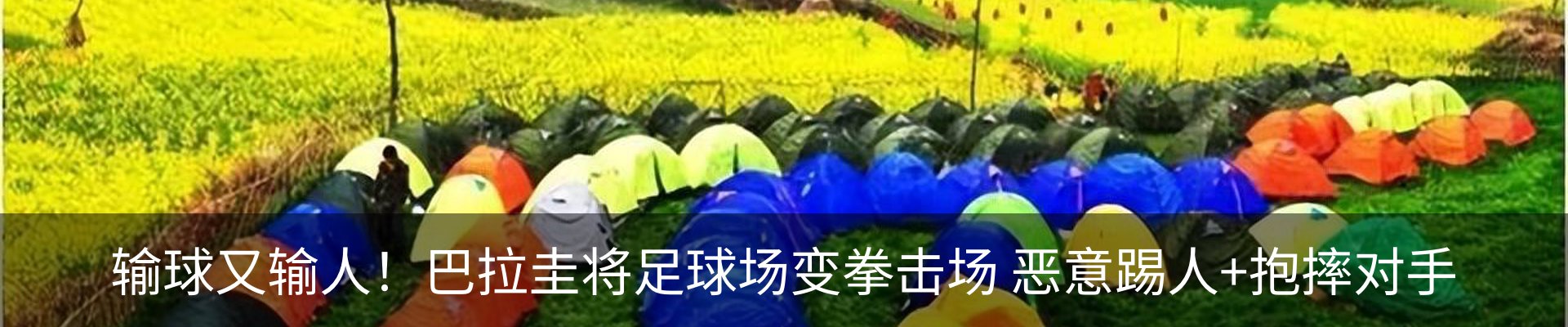 行业资讯